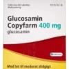 GLUCOSAMIN COPYFARM 400 MG