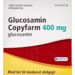 GLUCOSAMIN COPYFARM 400 MG